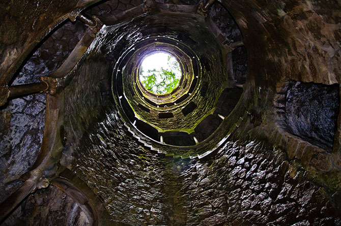 Vegetação_Quinta_da_Regaleira8