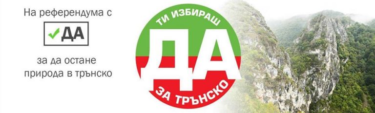 т
