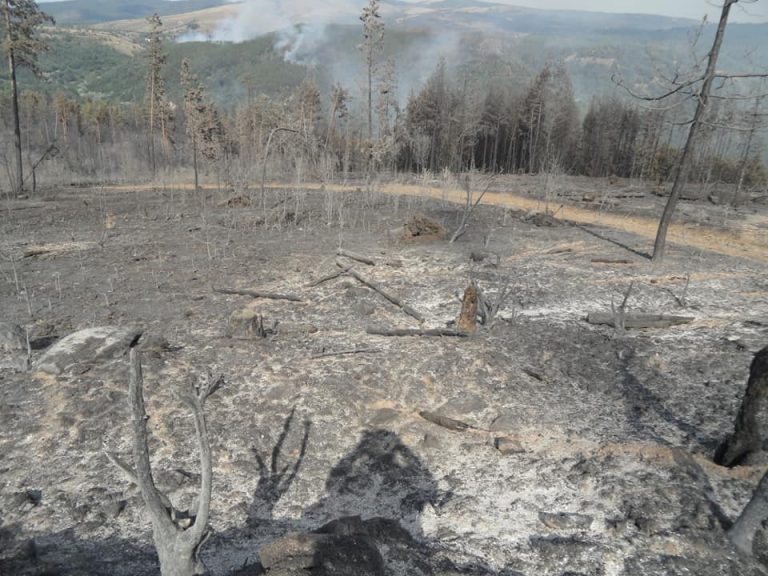 Пожарищата над Босилеград