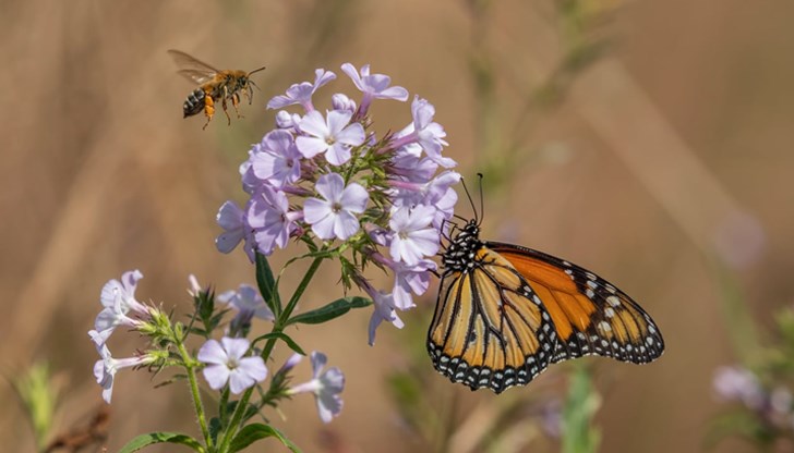 3b070e0d67684bee825d86f712914d49